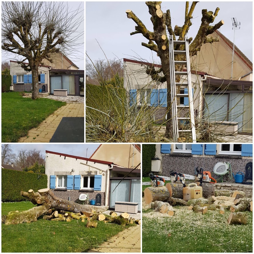 Taille arbre complet Vernon 27200