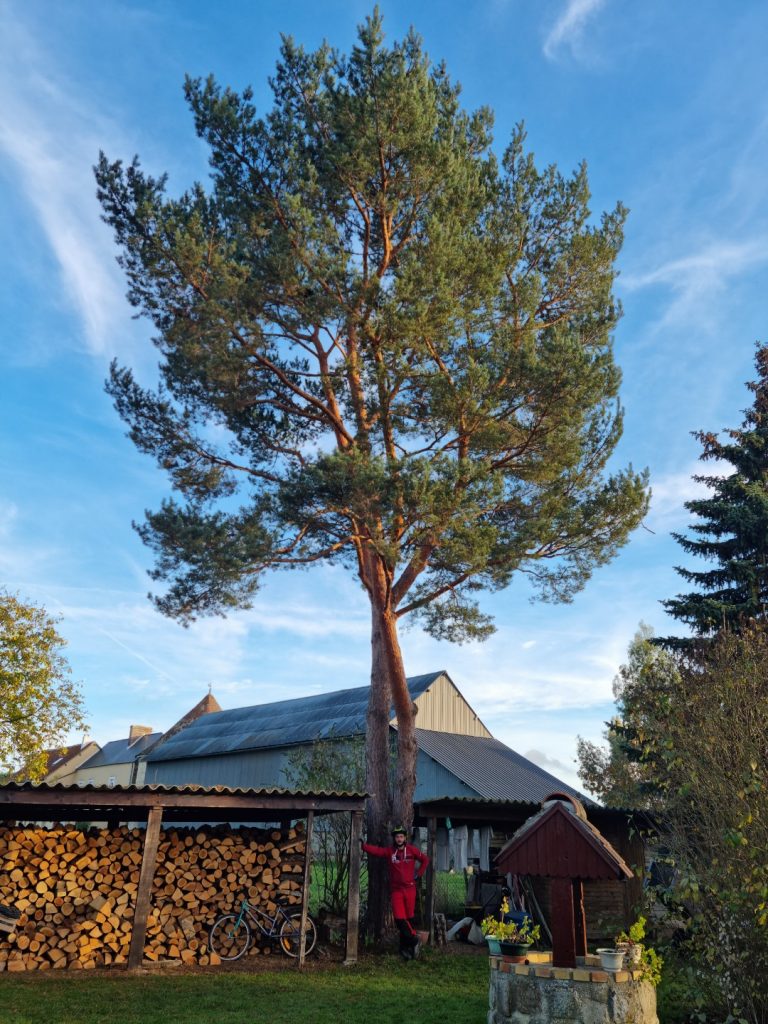 Élagage arbre Houlbec-Cocherel 27120